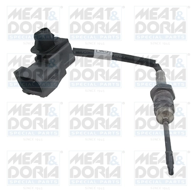 Sensor, exhaust gas temperature